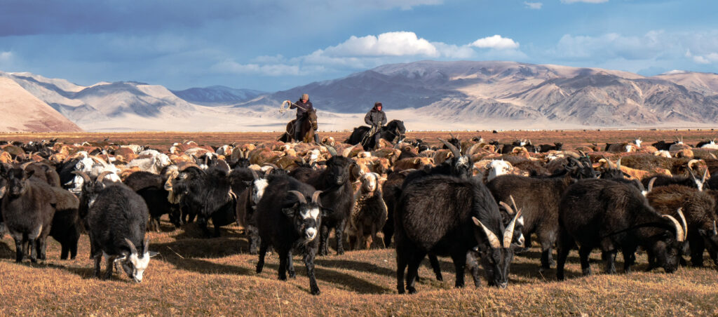 Mongolia - Incognita Club - z miłości do podróży