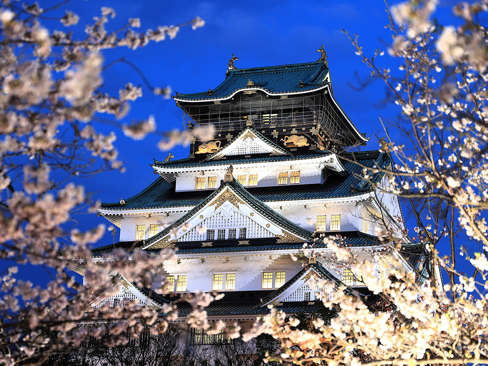Japonia - Incognita Club - z miłości do podróży