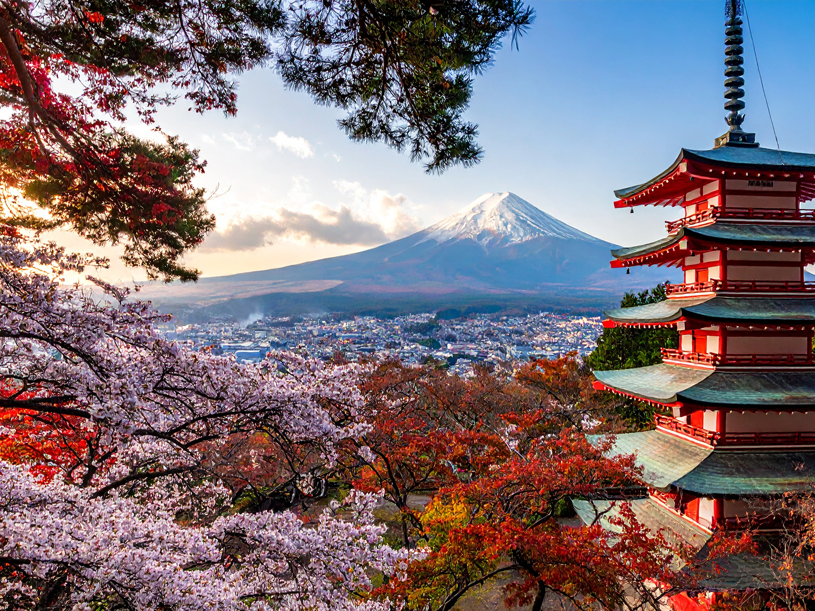 Japonia - Incognita Club - z miłości do podróży